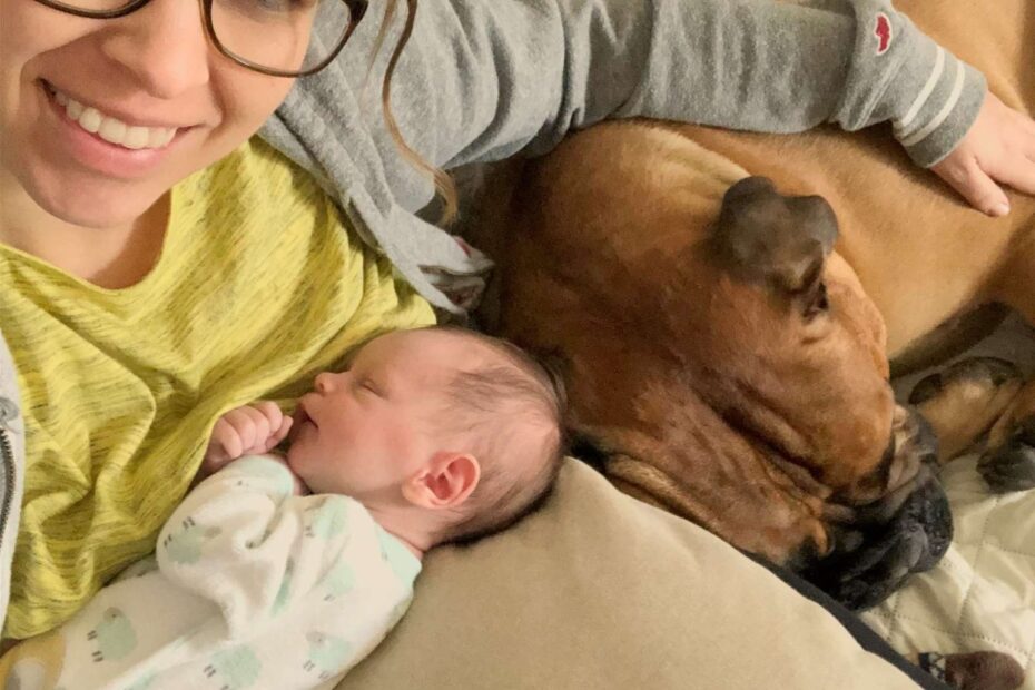 Boundless love: A Dog’s Devotion from Pregnancy to Parenthood